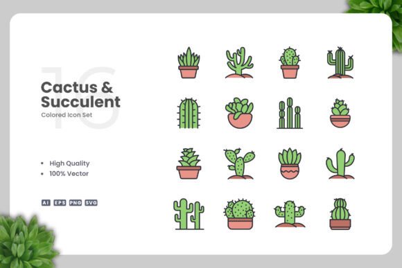 Why Cactus and Succulent Graphics Are a Marketer’s Secret Weapon